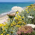 Sa Fiorida Vacanze Holiday home Valledoria (Sardinia)