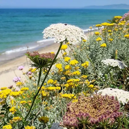 Sa Fiorida Vacanze بيت للعطل فاليدوريا