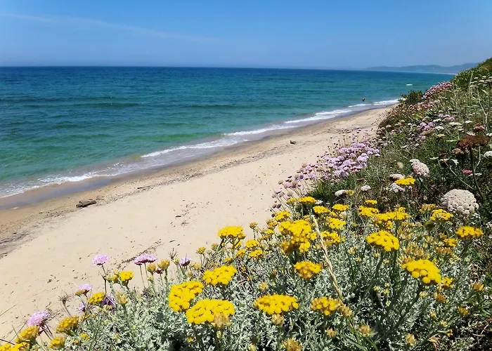 Sa Fiorida Vacanze Valledoria (Sardinia)